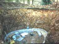 under the hollybush